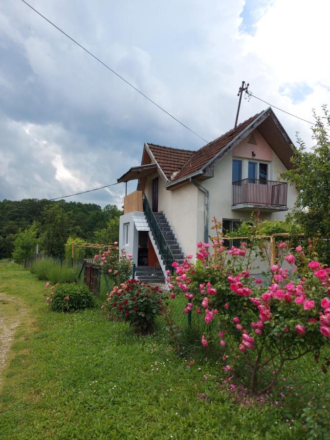 Kuca - Country house Pozega